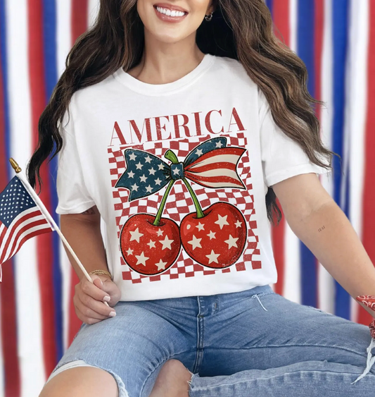 America Sweatshirt or T-Shirt, DTG Printed