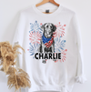 Patriotic Custom Photo Dog Sweatshirt or T-Shirt, DTG Printed