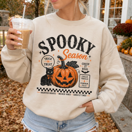 Spooky Season Cat & Pumpkin Sweatshirt or T-Shirt, DTG Printed
