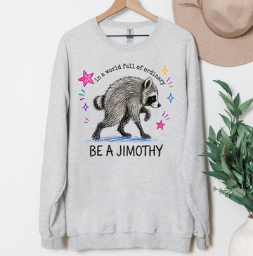 Be A Jimothy Rocco Racoon Sweatshirt or T-Shirt, DTG Printed