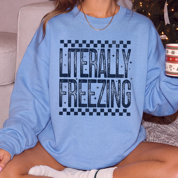 Literally Freezing Shirt or Sweatshirt, DTG Printed