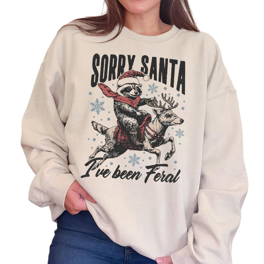 Sorry Santa Sweatshirt or T-Shirt | Cute Holiday Graphic Tee | Funny Christmas Shirt