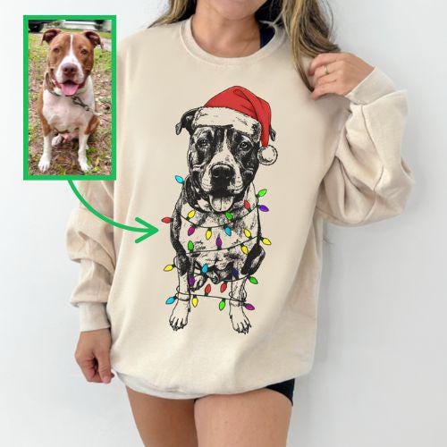 Custom Pet Christmas T-Shirt with Photo & Name DTG Printed | Personalized Pet Portrait Shirt | Custom Dog Cat Graphic Tee | Pet Lover Gift