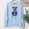 Custom Football Pet Christmas T-Shirt with Photo & Name DTG Printed | Personalized Pet Portrait Shirt | Custom Dog Cat Graphic Tee