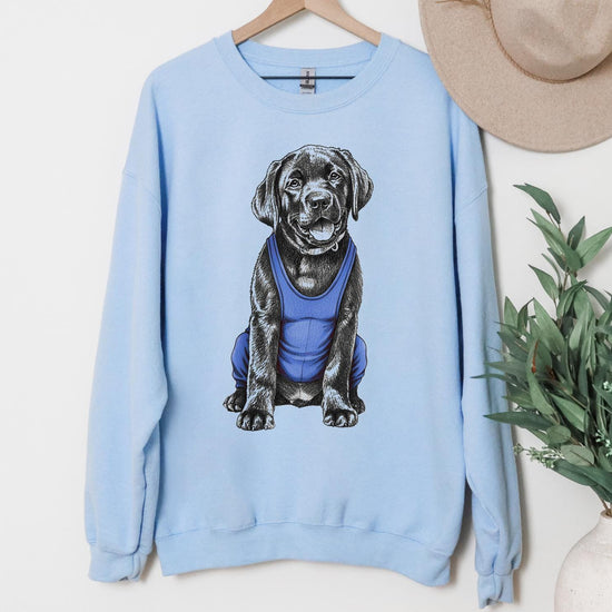 Custom Wrestling Photo of Your Dog in a T-Shirt with Custom Text, Unisex T-Shirt or Sweatshirt, DTG Printed